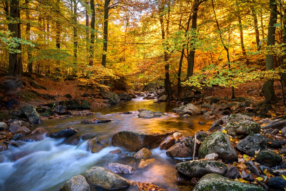 Autumn mood nature