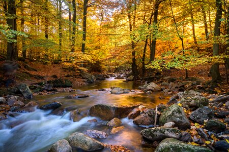 Autumn mood nature