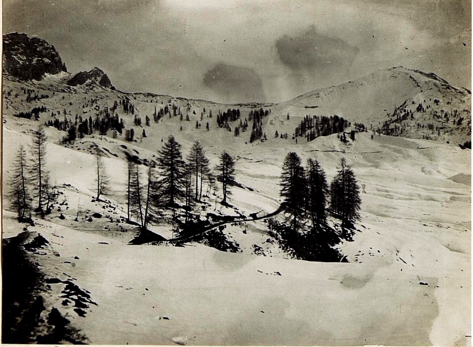 Blick vom Tragtierwäldchen auf den Sief - Sattel. (BildID 15582681)