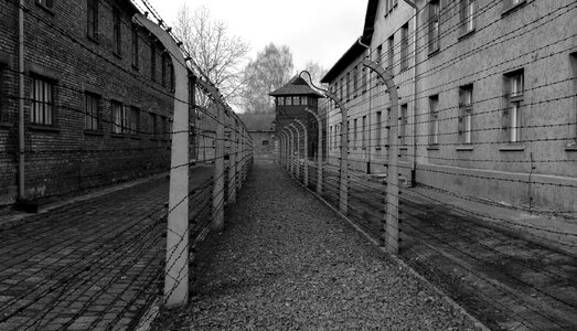 Concentration camp history the museum