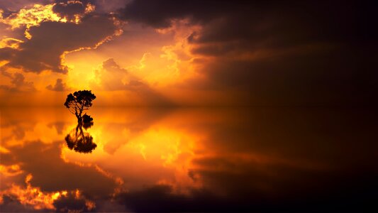 Sky tree sunbeam photo