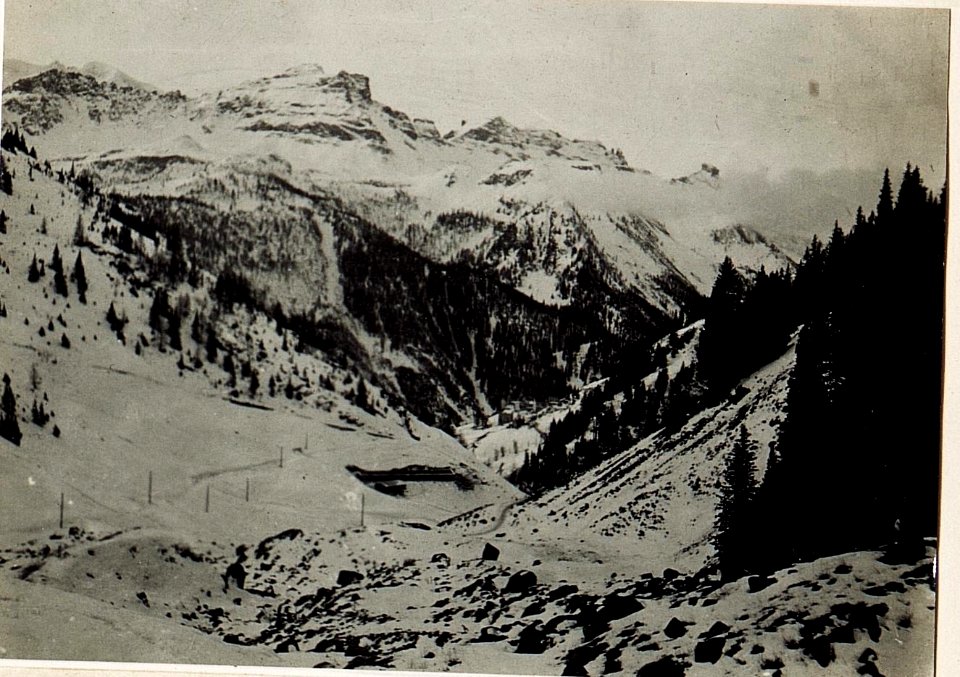Blick von Alpenrose gegen Ort Cherz. (BildID 15582646)