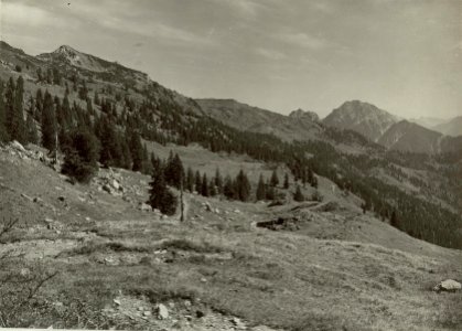 Blick vom Nassfeld nach Südosten auf MONTASCH. Aufgenommen am 22.September 1915. (BildID 15461959)