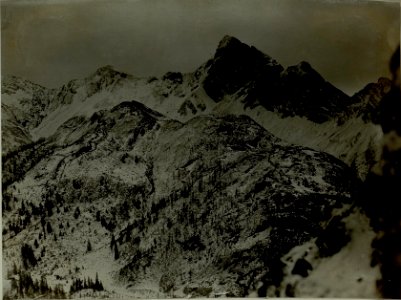 Blick vom linken Flügel auf unsere und den feindlichen Stellungen am grossen Pal und Passo di Cavallo. Hintergrund von links nach rechts Köderhöhe, Promos, Piz Timau und Gamsspitze. (BildID 15481968)