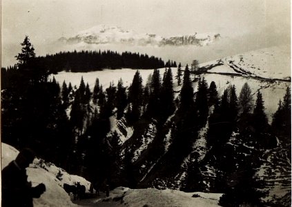 Blick von Alpenrose gegen Sellagruppe. (BildID 15582674)