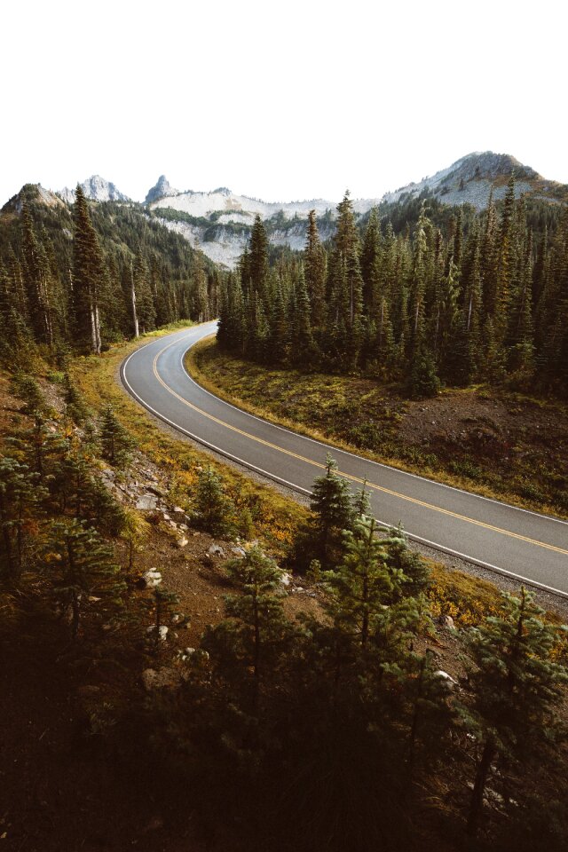 Path road forest