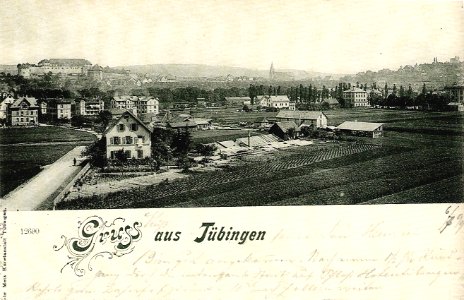 Blick vom Turm des Himmelwerkes auf Derendinger Str. Richtung Tübingen (AK Gebr. Metz 1899 TPk104)