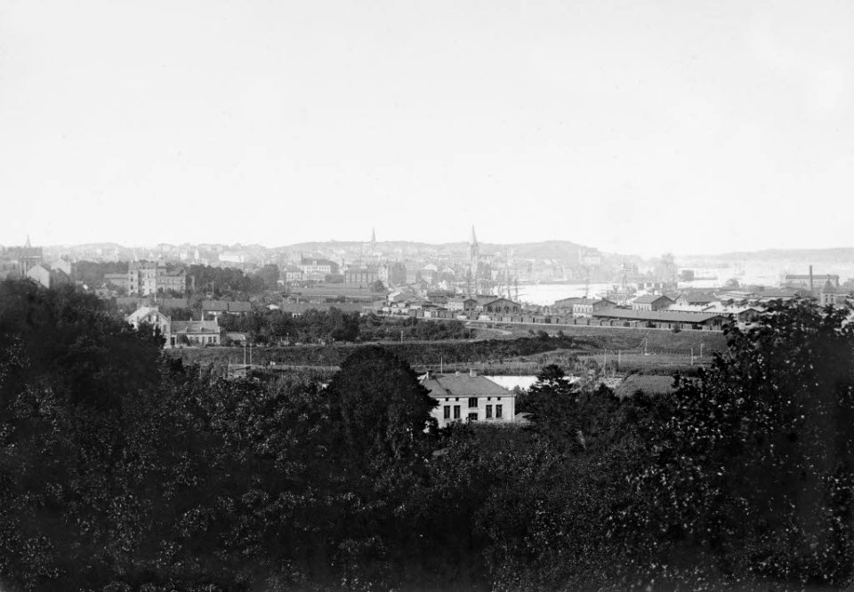 Blick vom Vieburger Gehölz (Gehege) auf Stadt und Hafen (Kiel 44.666)