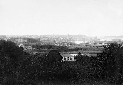 Blick vom Vieburger Gehölz (Gehege) auf Stadt und Hafen (Kiel 44.666)