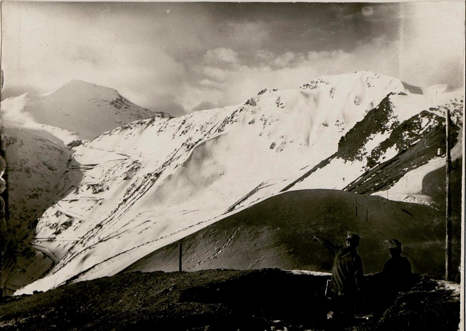 Blick vom Schützengraben auf das Stilfserjoch und Scorluzzo (BildID 15735495)