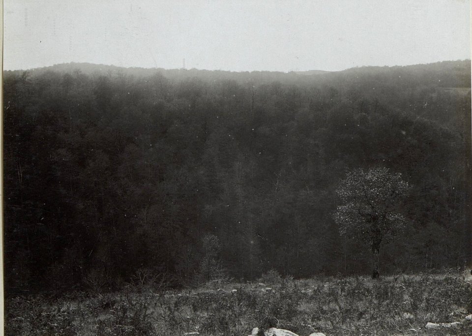 Blick von 706 gegen Miletina (BildID 15660628)