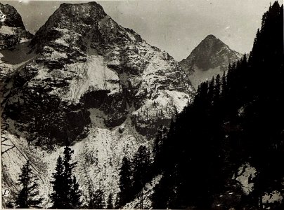 Blick von Bambestaplateau auf Gardinal links und Cauriol rechts hinten. (BildID 15575606)