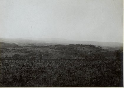 Blick von 706 gegen die Stellung der 14. Kompanie (BildID 15660564)