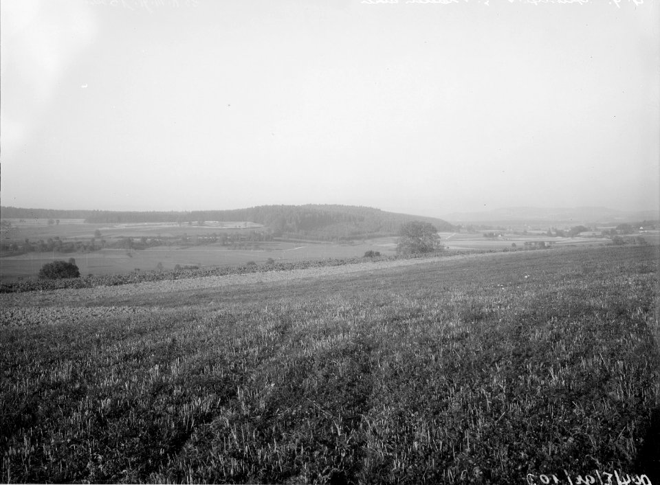 Blick von Ausserfeld auf Biberenäcker - CH-BAR - 3241799