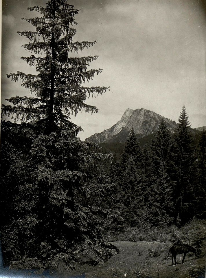 Blick von der Cima di Vezzena vom Monte Rover. Aufgenommen im Mai 1916. (BildID 15533853)