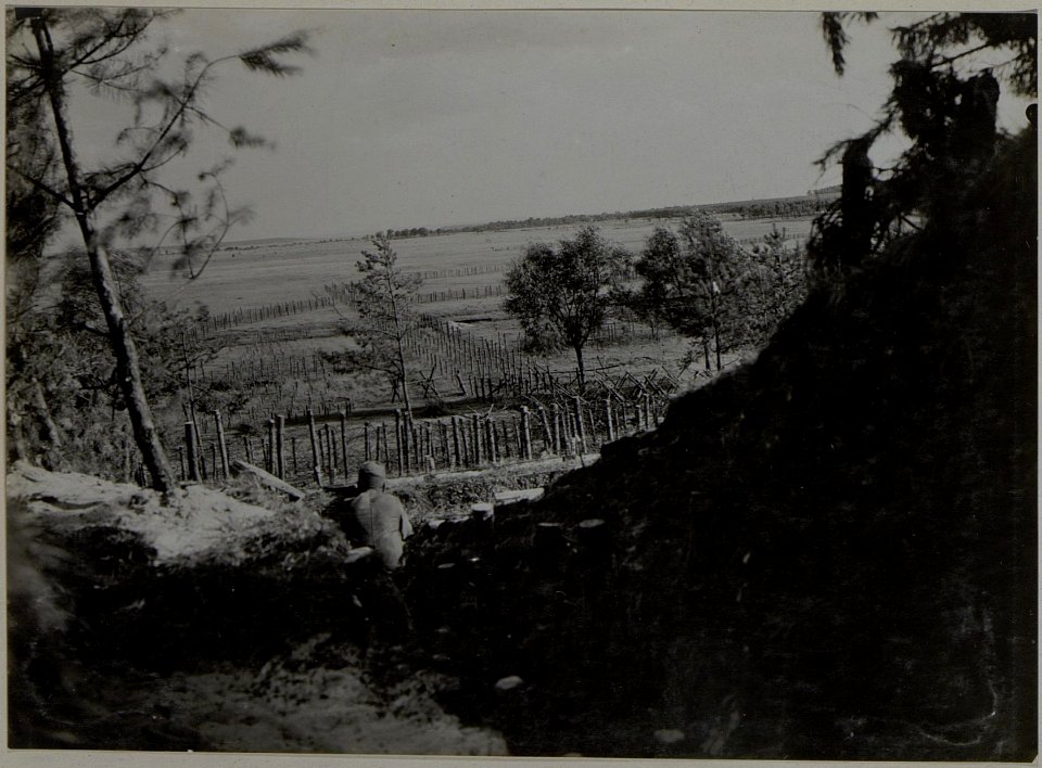 Blick von der Stellung Boldury gegen Brody (BildID 15444602)