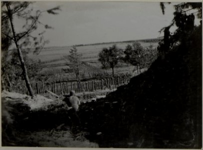 Blick von der Stellung Boldury gegen Brody (BildID 15444602)