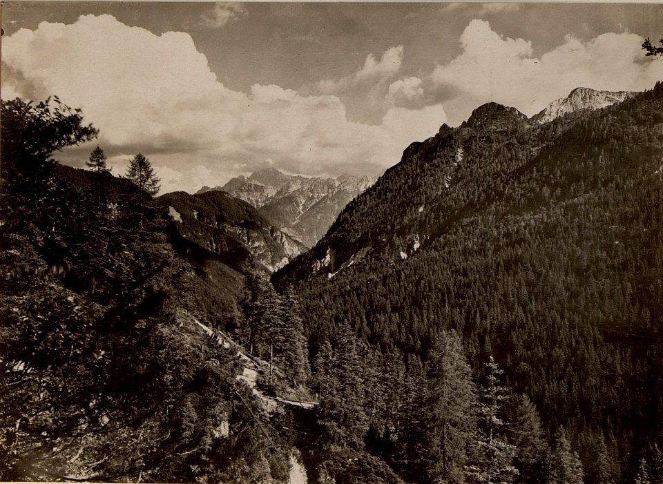Blick von der Strasse EGGERALPE - KRONALPE durch den WEISSENBACHGRABEN gegen den Mittagskofel. aufgenommen am 25.VI.1916. (BildID 15476721)