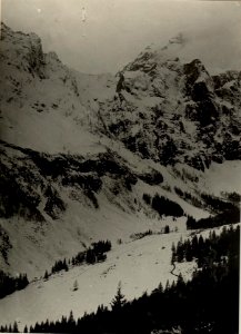 Blick von der Valentinalpe zum Plöckenpassgebiet, Cellonkofel, Standpunkt Valentinalpe. (BildID 15470595)