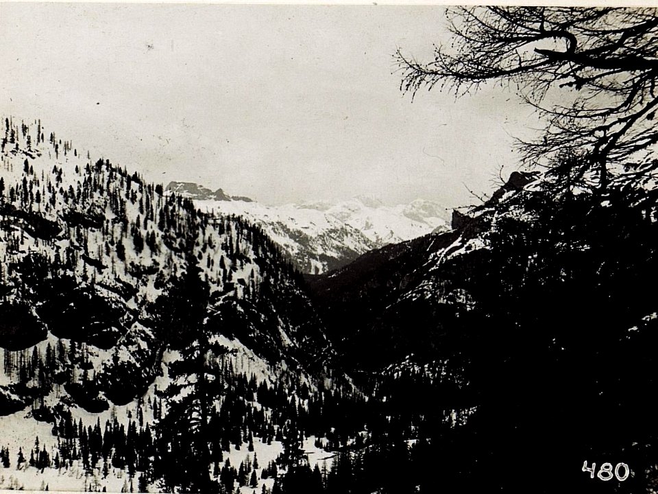Blick von Fedajapass gegen die Rosengartengruppe. (BildID 15582226)