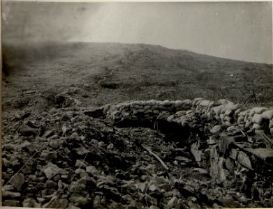 Blick von Kote 57 gegen Kote 77 (BildID 15547382)