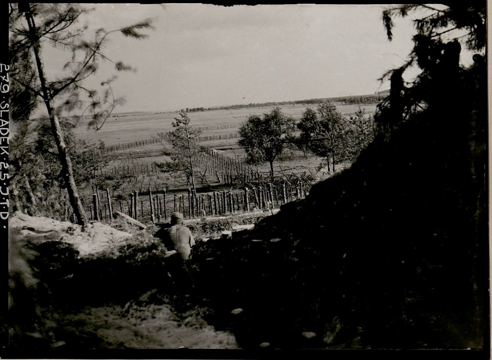 Blick von der Stellung Boldury gegen Brody. (BildID 15734431)