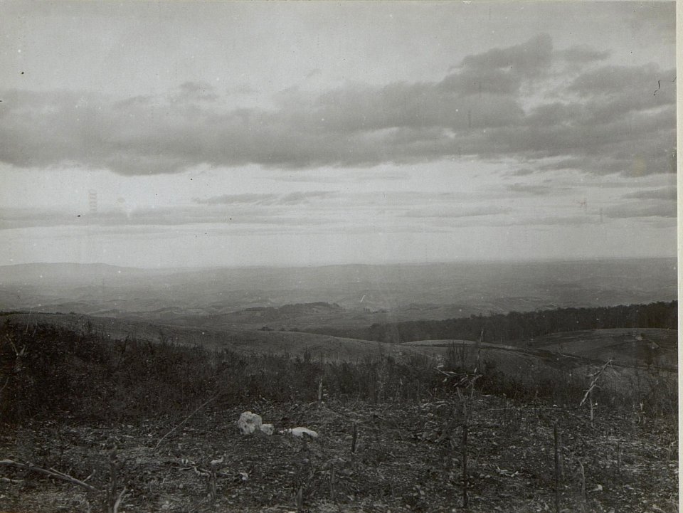 Blick von der Miletina gegen 706 (BildID 15660636)
