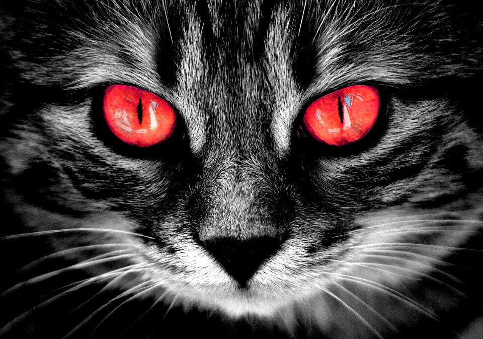Fire red eyes weird horror