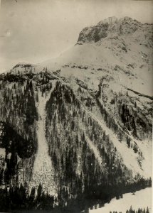 Blick von der Valentinalpe zum Plöckenpassgebiet, Cellonkofel. Standpunkt Valentinalpe. (BildID 15470588)