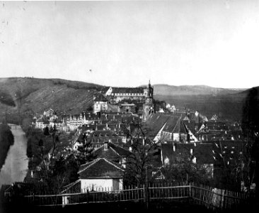Blick von der Sennerei auf Tübingen 1875-2