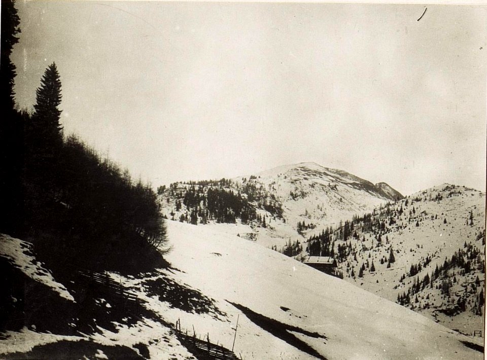 Blick von Plätzwiese gegen Ross - Alpe. (BildID 15582779)