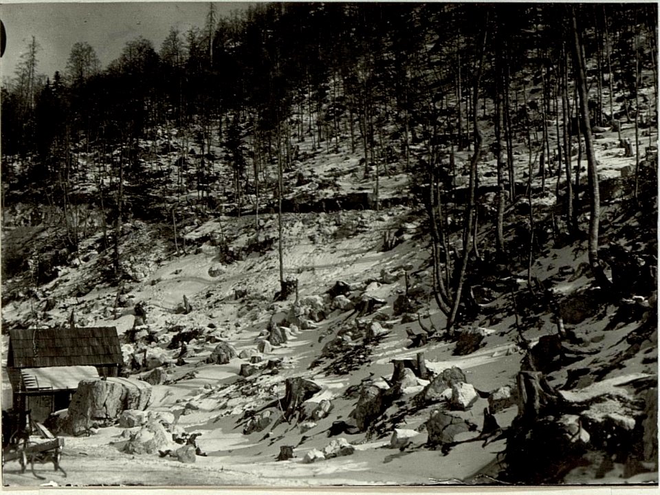 Blick von der Station Schütthalde, auf der Straße Verwundetentransport. (BildID 15464572)
