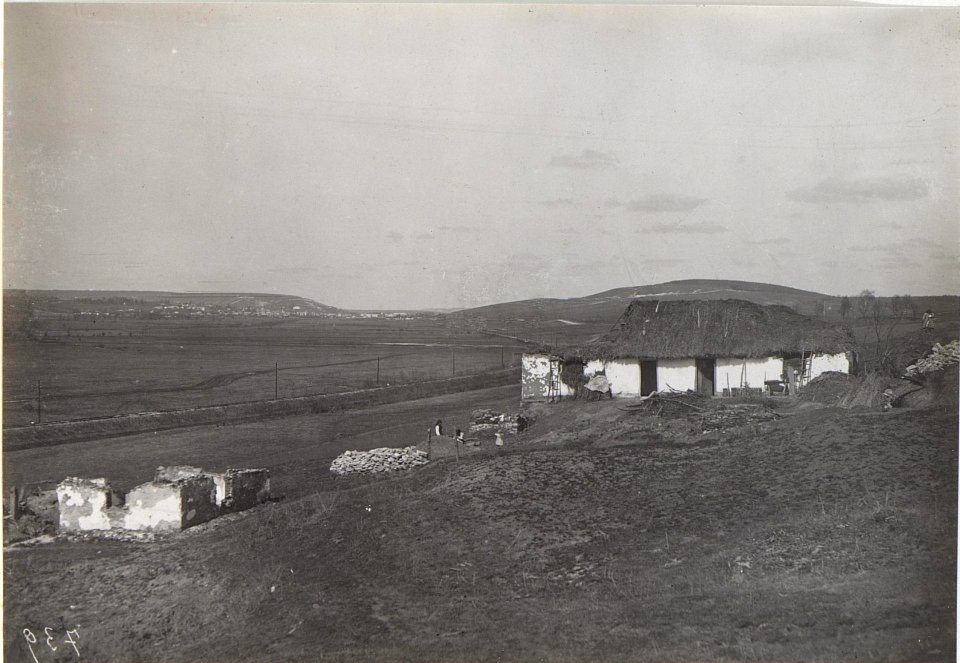 Blick von Potuttory nach Brzezany mit Zlota Lipatal (BildID 15438243)