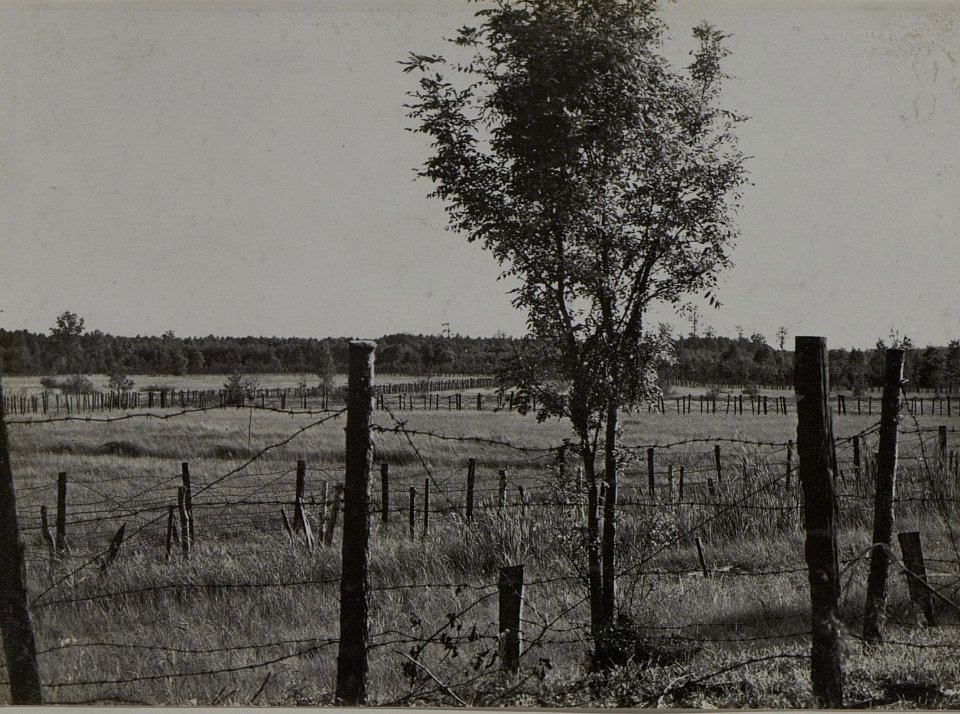 Blick von der Stellung des Infanterieregimentes 84 auf jene der Infanterieregimentes 4 (BildID 15446194)