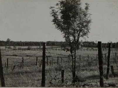 Blick von der Stellung des Infanterieregimentes 84 auf jene der Infanterieregimentes 4 (BildID 15446194) photo