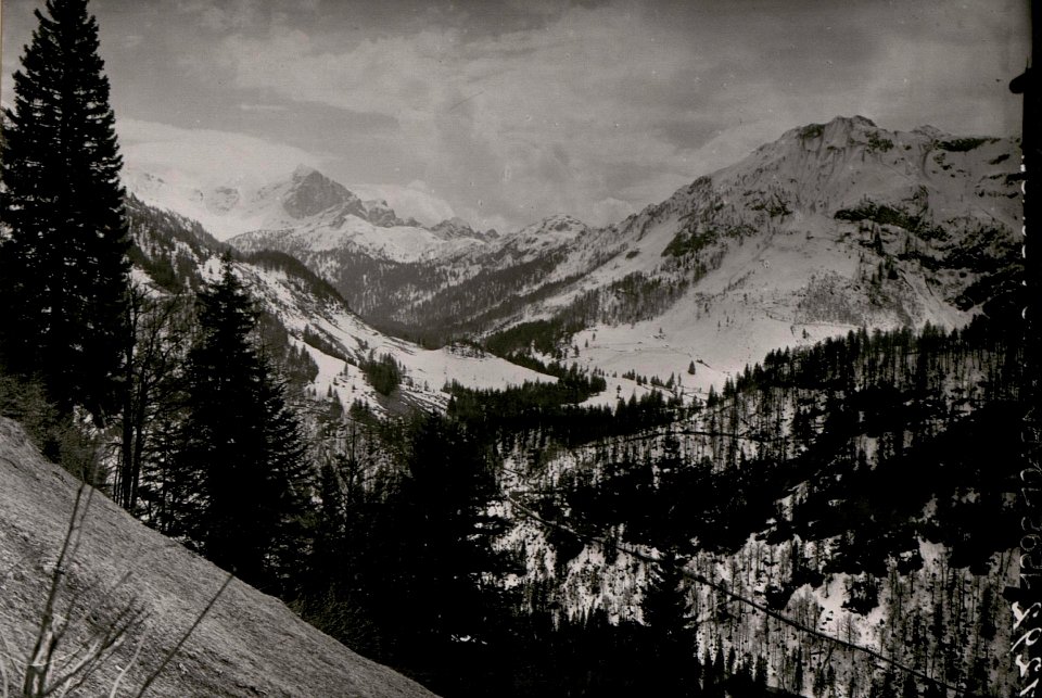 Blick von der Valentinalpe zum Plöckenpassgebiet und Kleinem Pal. (BildID 15736807)