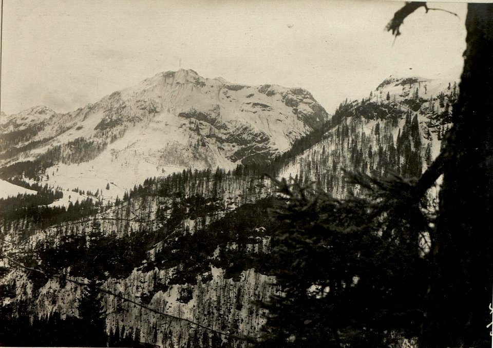 Blick von der Valentinalpe zum Plöckenpassgebiet, Cellonkofel, Kleinen Pal, sowie Kellerwand. Standpunkt Valentinalpe. (BildID 15470581)
