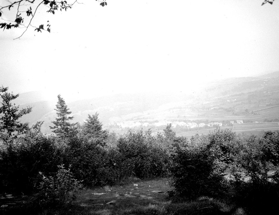Blick von Les Ordons auf Bonvignon - CH-BAR - 3236527