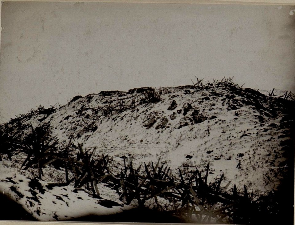 Blick von unserer auf die feindliche Stellung auf der Spitze des grossen Pal. (BildID 15482356)