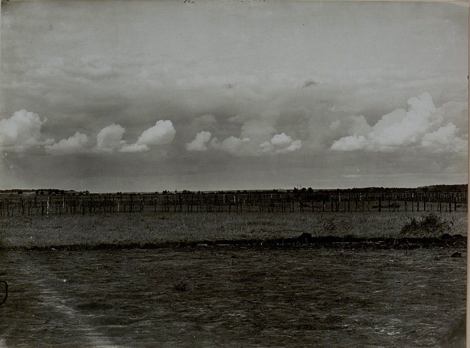 Blick von der Stellung der Jäger der 25. Infanteriedivision gegen die feindlichen Gräben. (BildID 15446131)