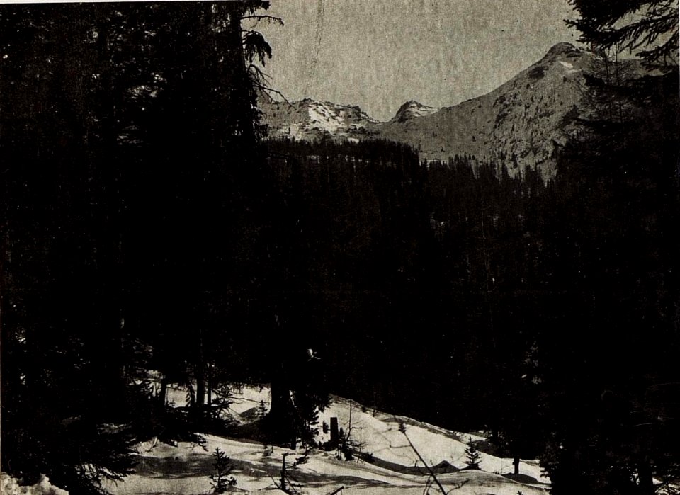 Blick von Eisenofenalpe auf Valparola. (BildID 15583241)