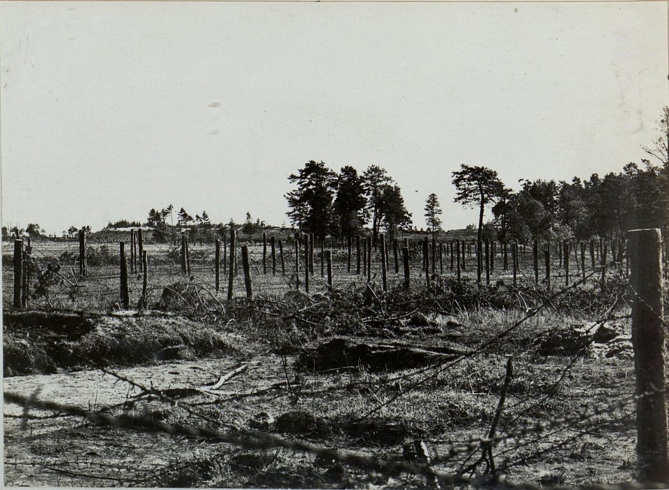 Blick von Norden auf Trig.229 (BildID 15444496)