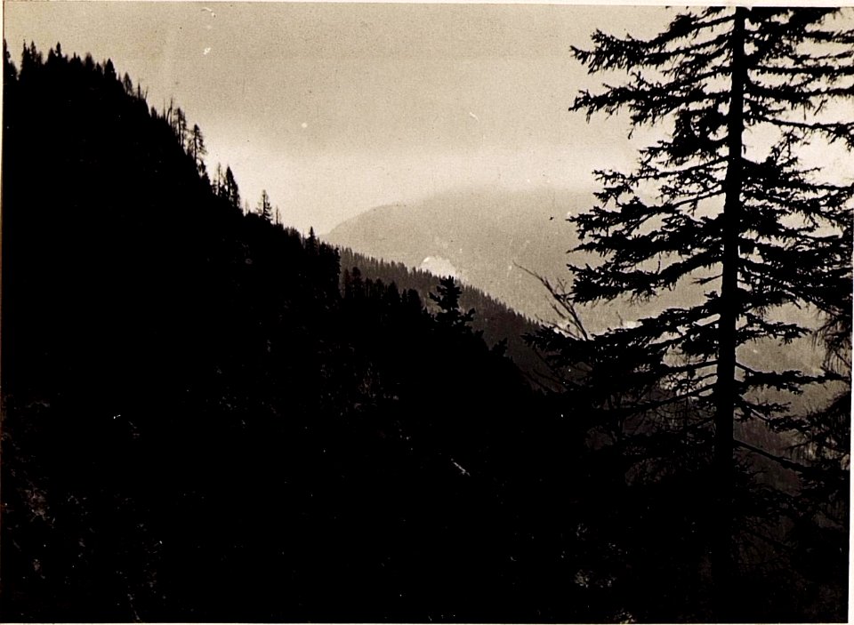 Blick von Ravna gegen Guggalpe. (BildID 15496052)
