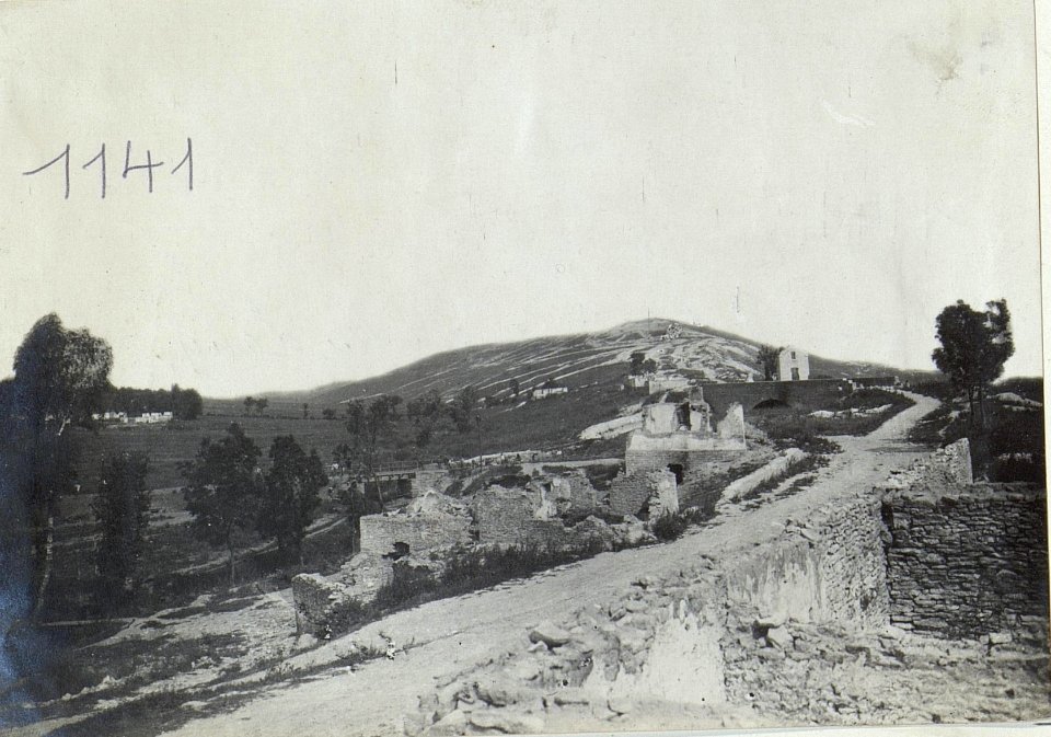 Blick von Rybniki auf Dzikie-Lany. (BildID 15729801)