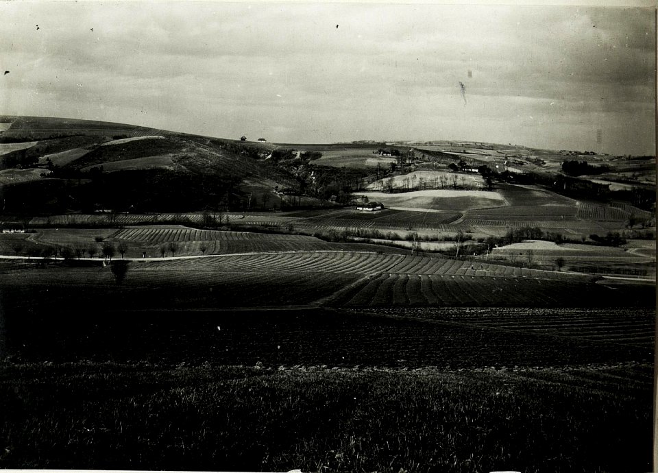 Blick von Sobolow gegen Norden. (BildID 15591825)