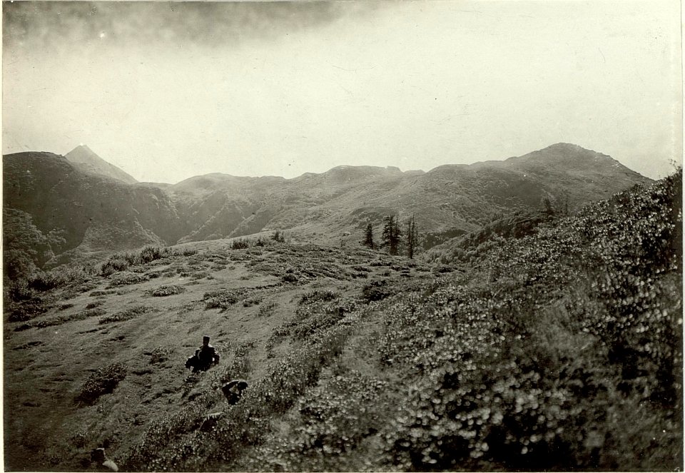 Blick von Kote 1728 gegen Ludinut Kote 1806 und Collendianue Törl. (BildID 15460412)