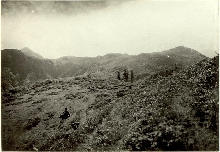 Blick von Kote 1728 gegen Ludinut Kote 1806 und Collendianue Törl. (BildID 15460412)