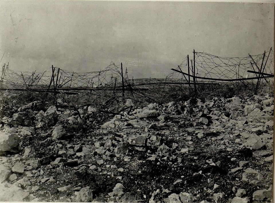 Blick von Kote 77 gegen Tivolli & Phillipp 85 (BildID 15547396)