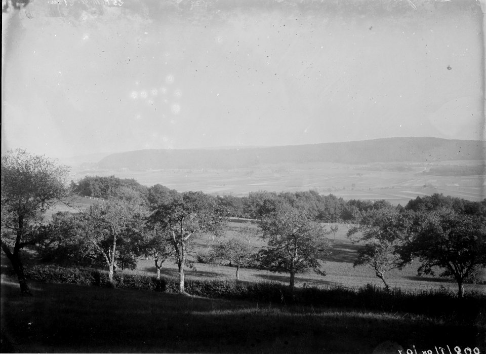 Blick von Le Roc gegen Jolimont - Erlach - CH-BAR - 3241793