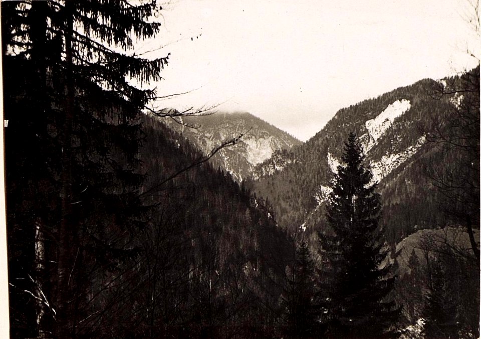 Blick von Ravna gegen Tschurtschele und Poludnik (BildID 15496115)